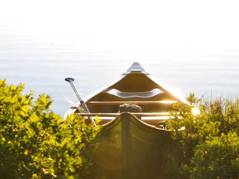 批量群发营销<br>安全群发不封号获客方案